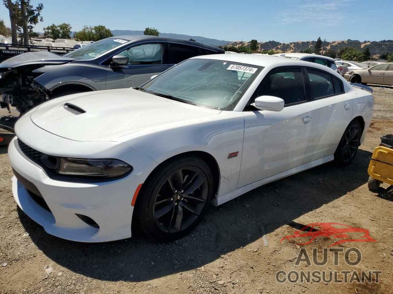 DODGE CHARGER 2019 - 2C3CDXGJXKH756835