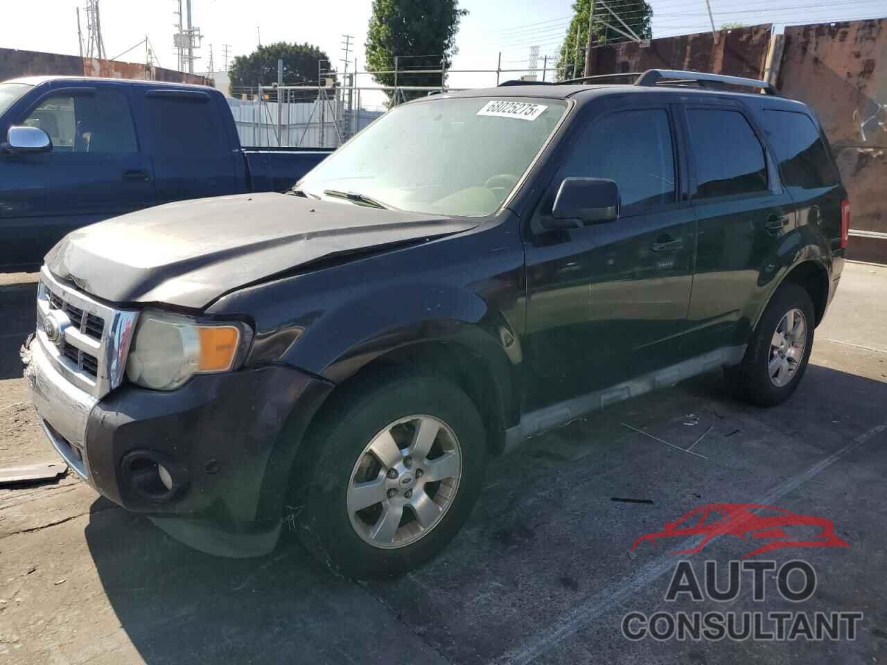 FORD ESCAPE 2011 - 1FMCU9EG3BKB59805
