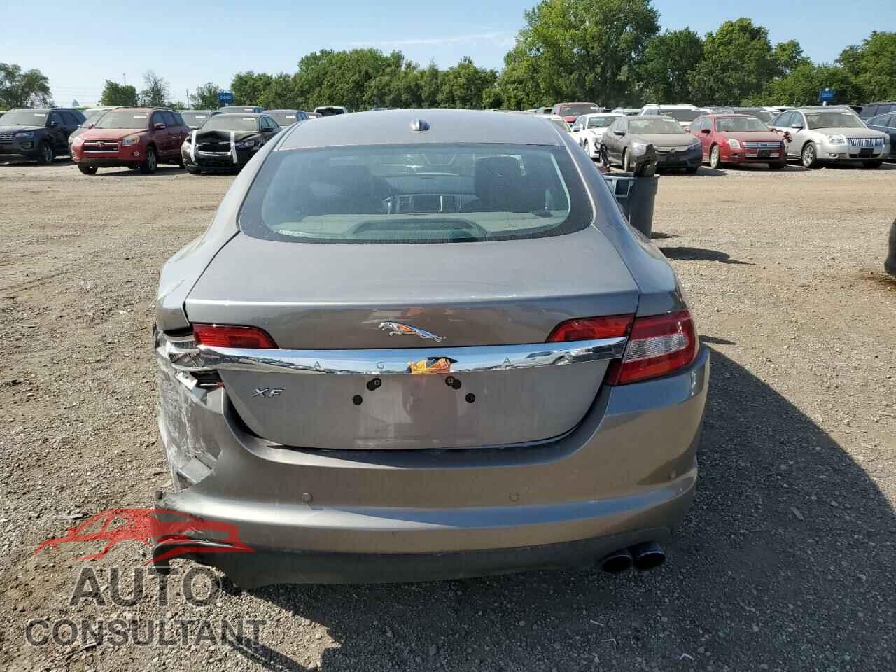 JAGUAR XF 2009 - SAJWA05B39HR10047