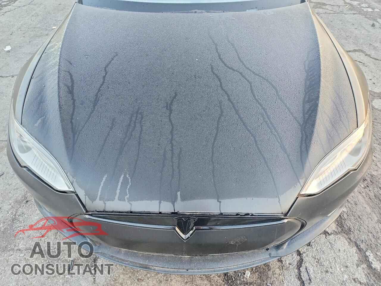 TESLA MODEL S 2013 - 5YJSA1CP3DFP06052