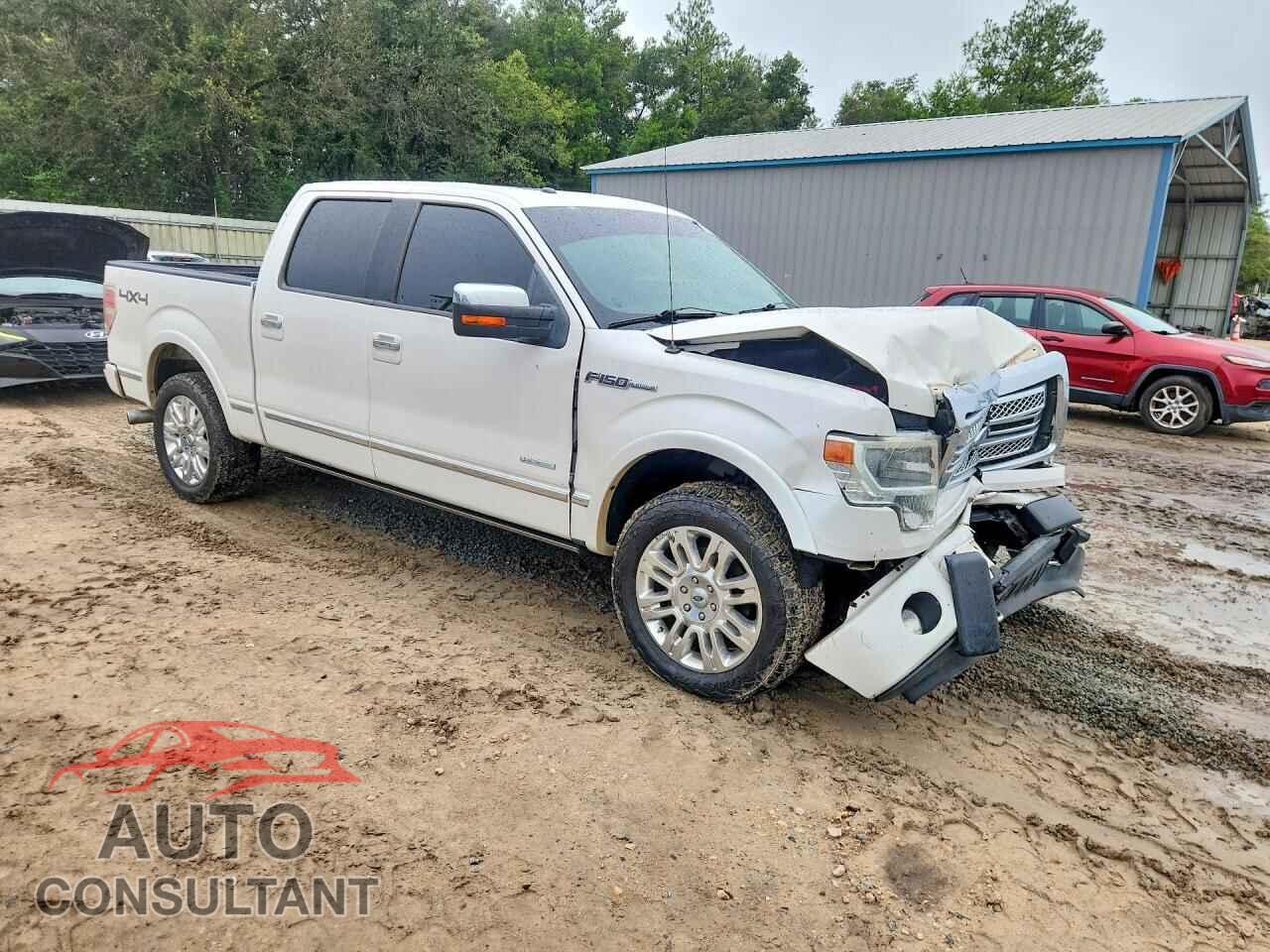 FORD F150 2013 - 1FTFW1ET5DFD77525