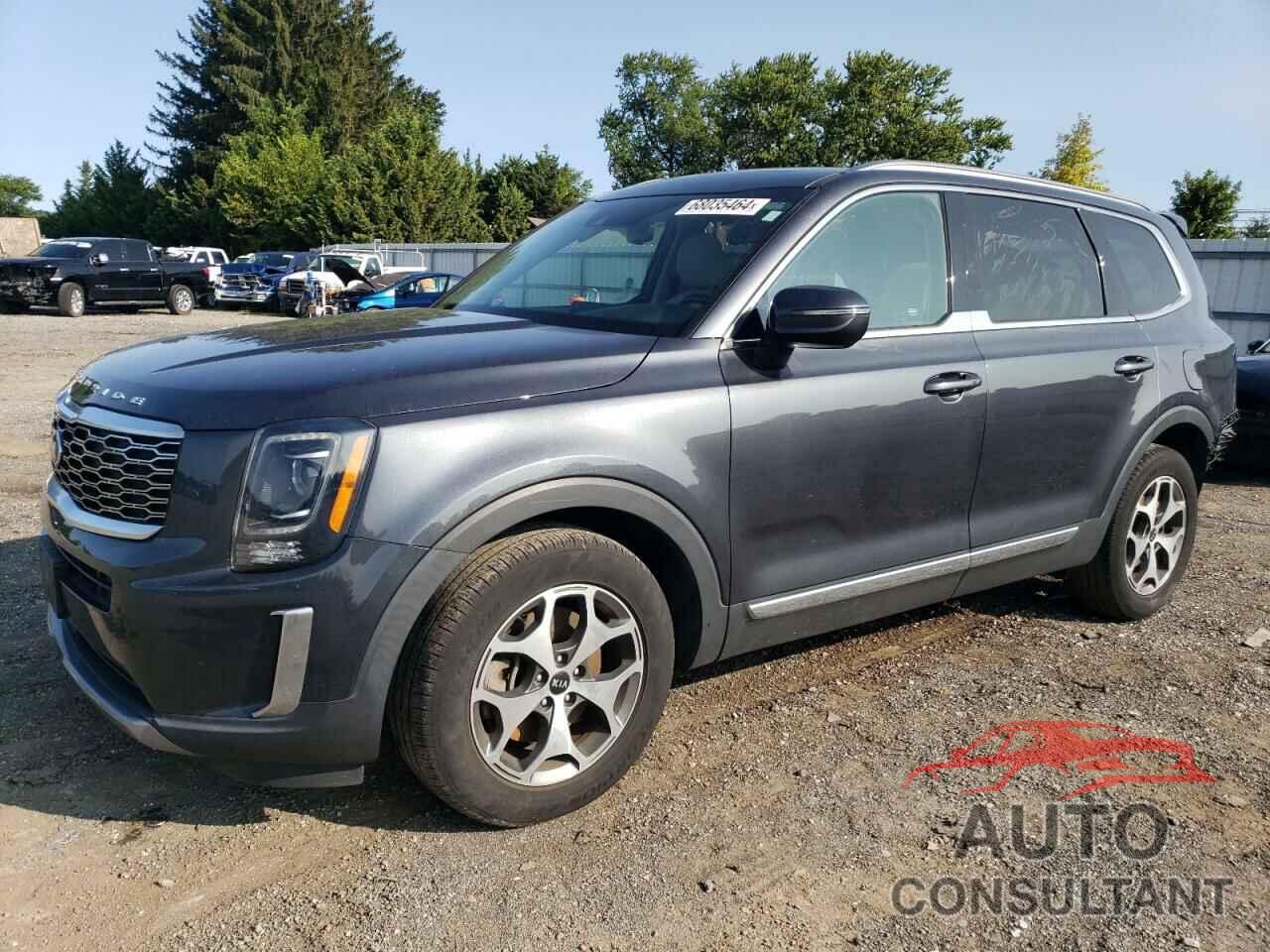 KIA TELLURIDE 2021 - 5XYP34HC8MG150854