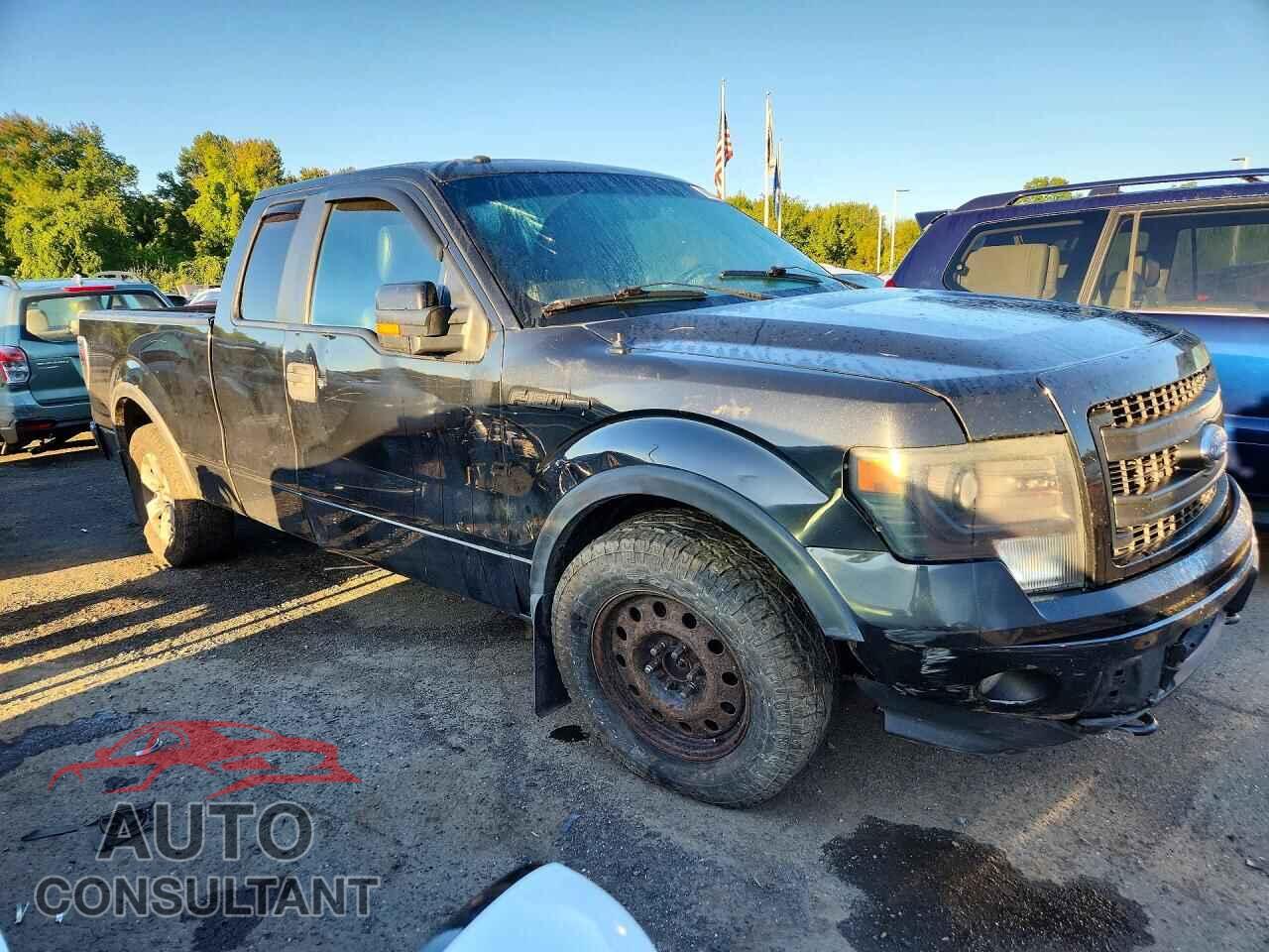 FORD F150 2013 - 1FTFX1EF3DFA97500