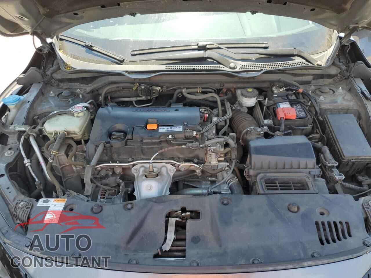 HONDA CIVIC 2019 - 2HGFC4B64KH301610