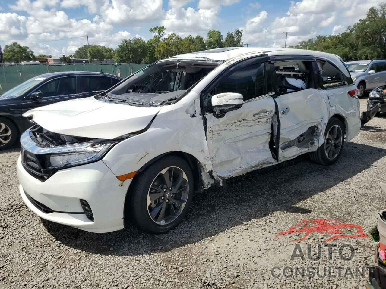 HONDA ODYSSEY 2024 - 5FNRL6H91RB016596