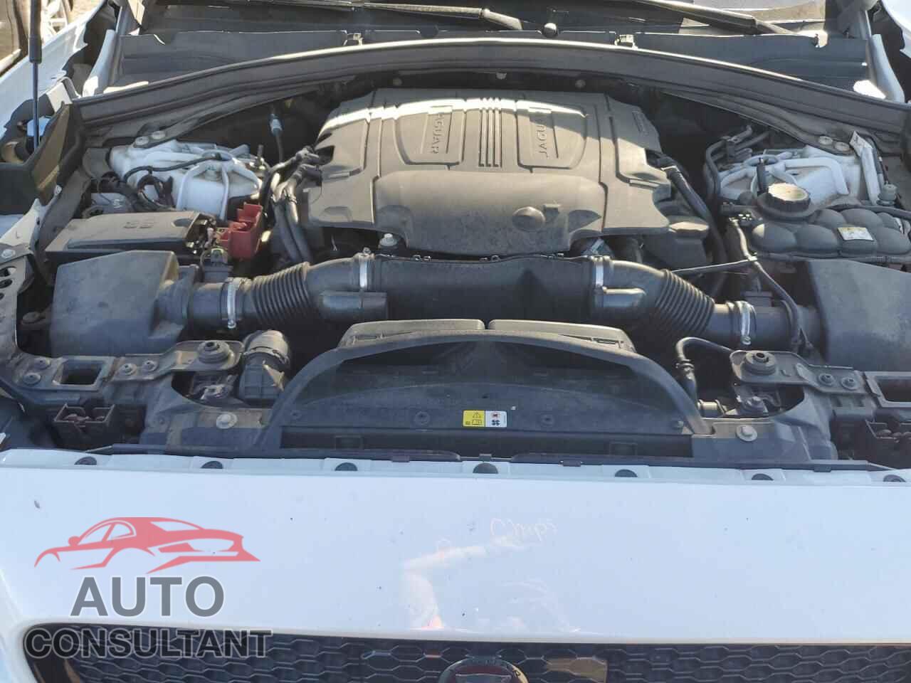 JAGUAR F-PACE 2019 - SADCM2FV7KA611726
