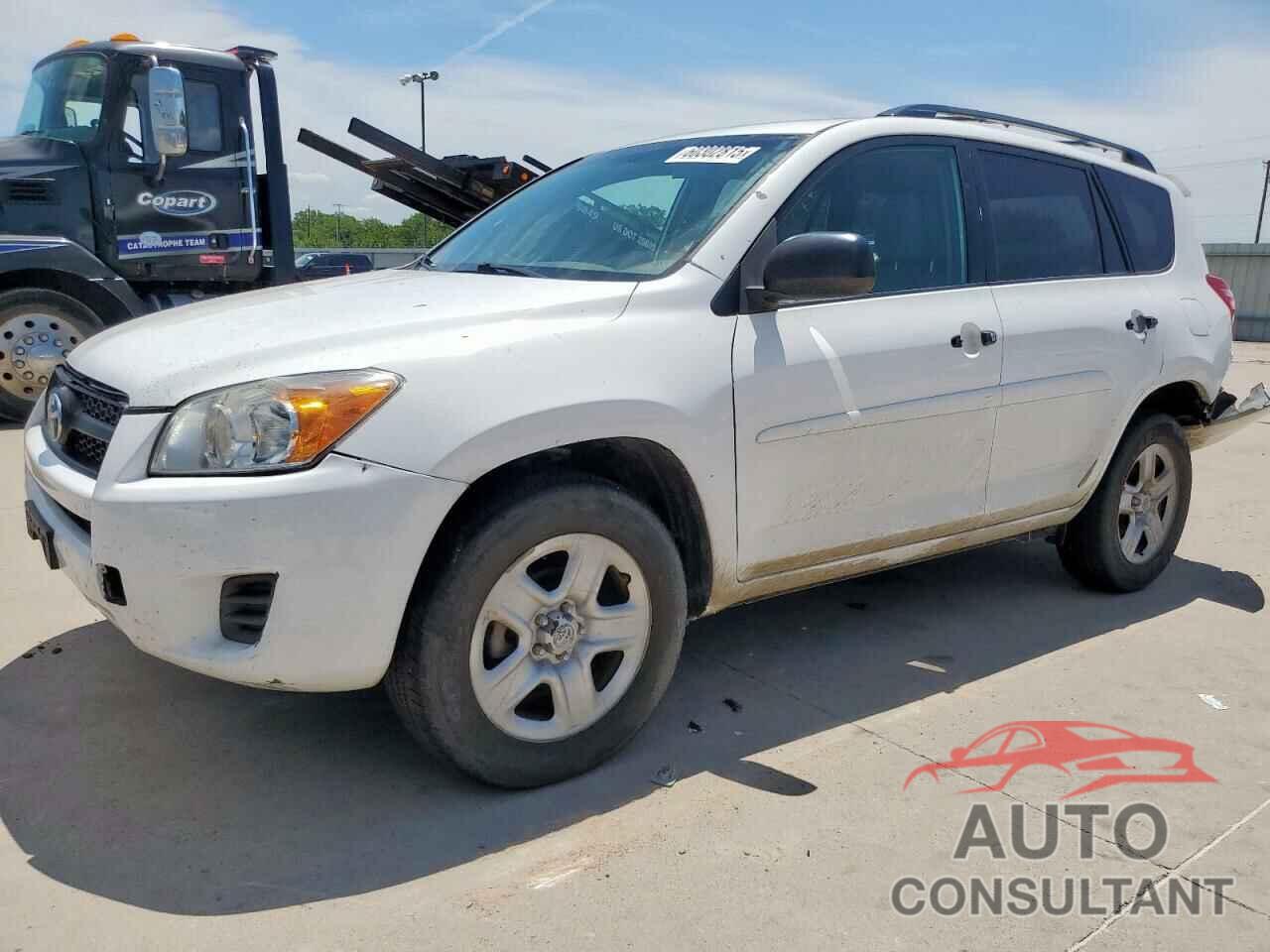 TOYOTA RAV4 2011 - 2T3BF4DV6BW102888