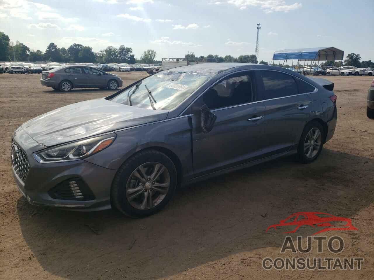 HYUNDAI SONATA 2019 - 5NPE34AF4KH730927