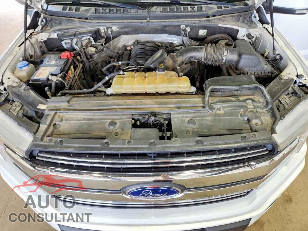 FORD UNKNOWN 2019 - 1FTEW1C57KKD49276