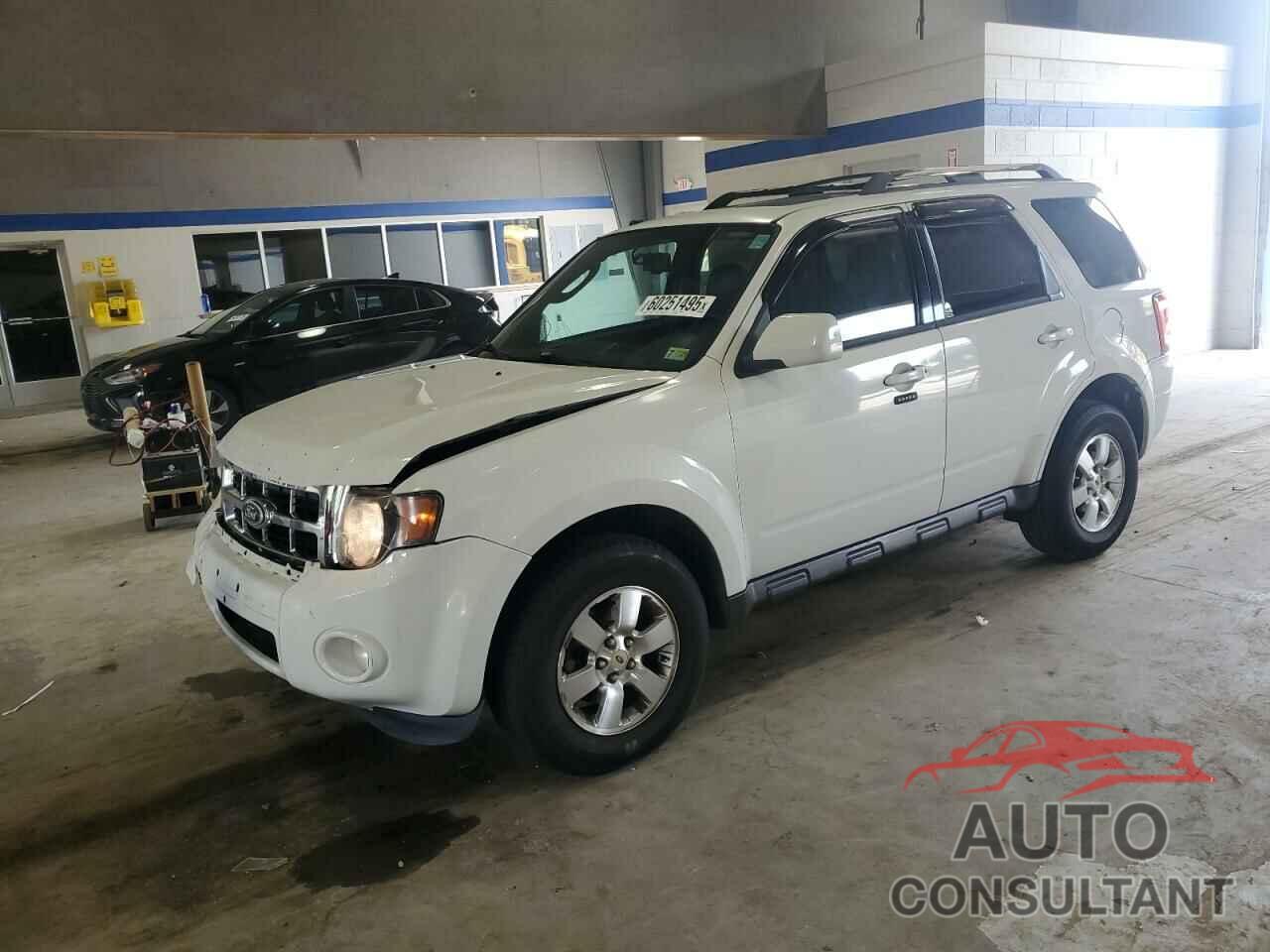 FORD ESCAPE 2010 - 1FMCU9EG4AKC43050