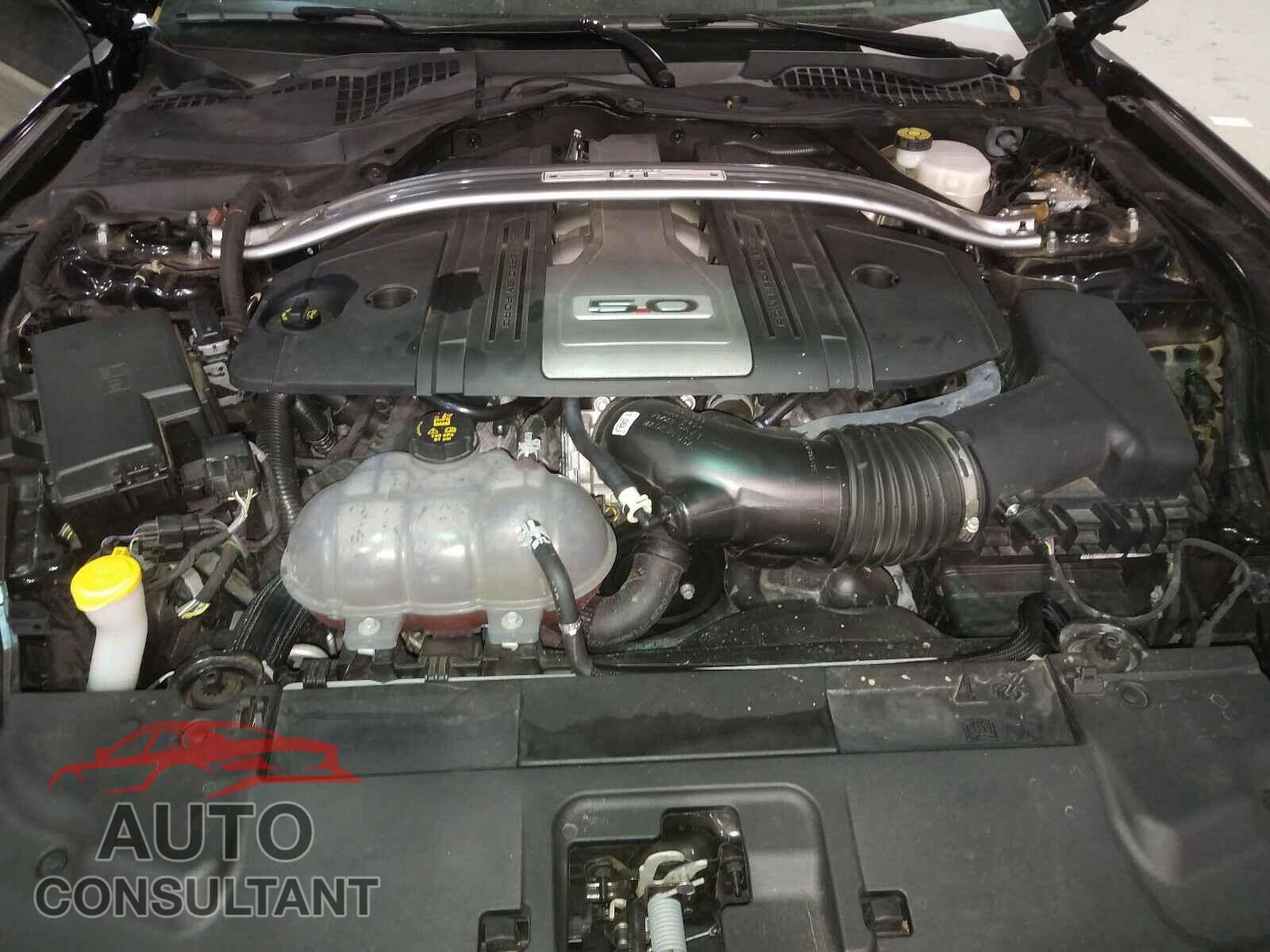 FORD MUSTANG 2019 - 1FA6P8CF7K5166760