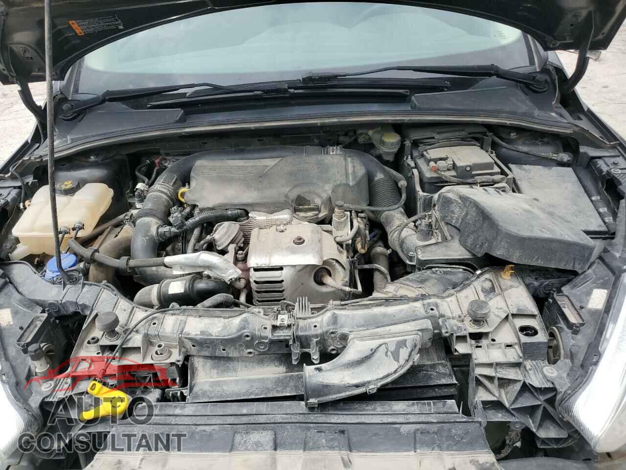 FORD FOCUS 2016 - 1FADP3FE5GL229564