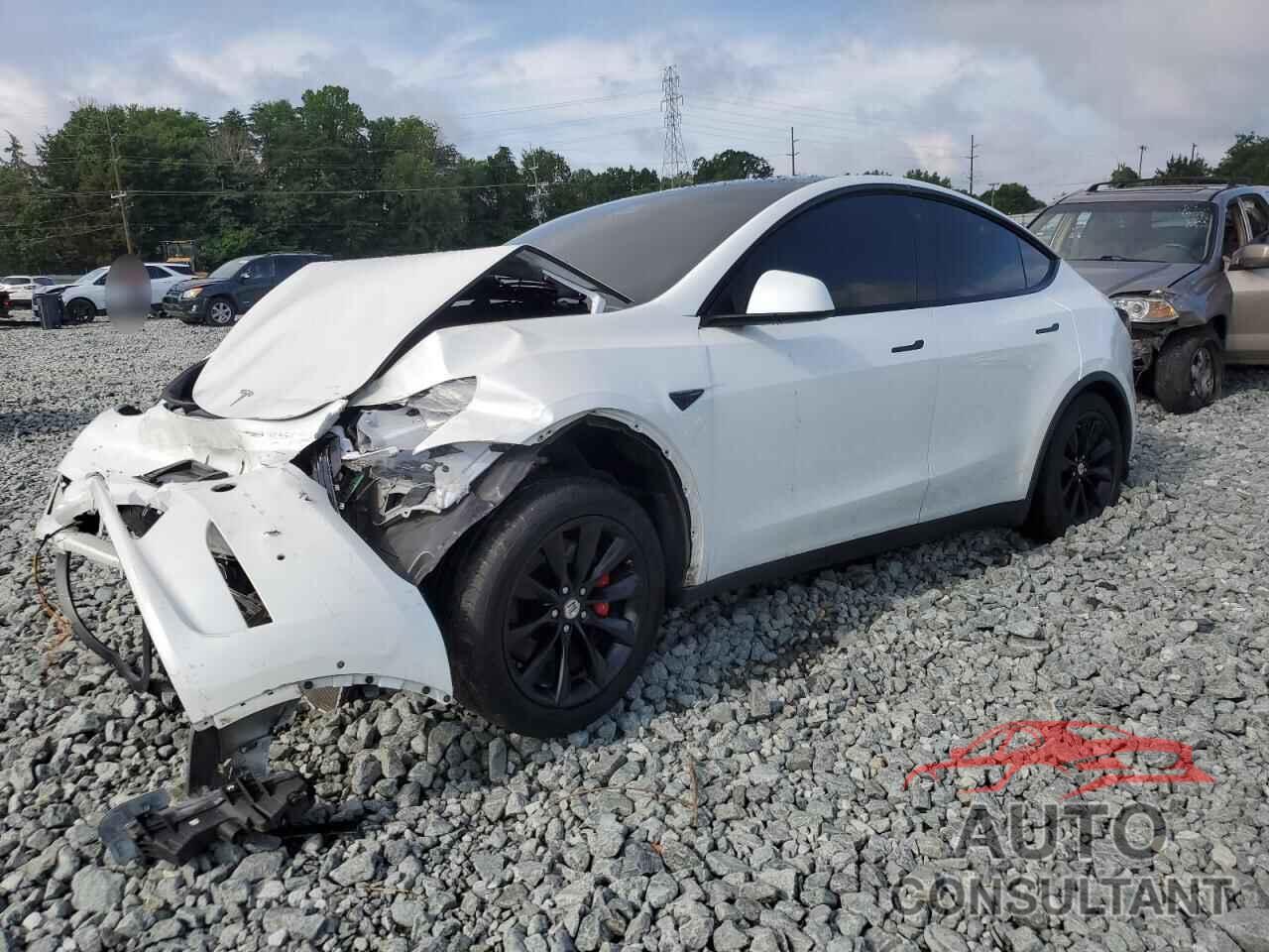 TESLA MODEL Y 2021 - 5YJYGDEF3MF081408