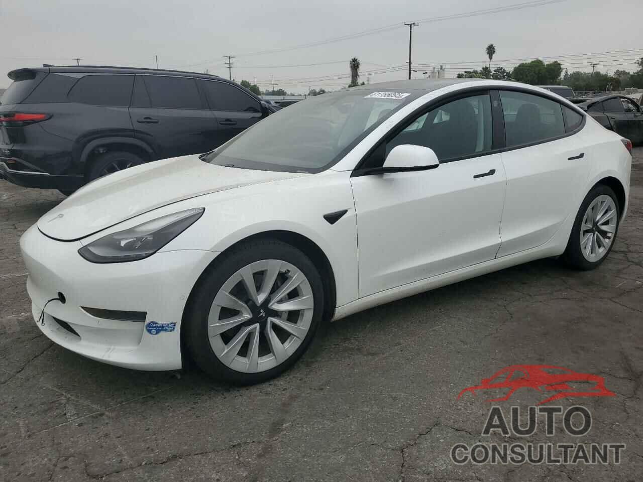 TESLA MODEL 3 2021 - 5YJ3E1EA1MF028709
