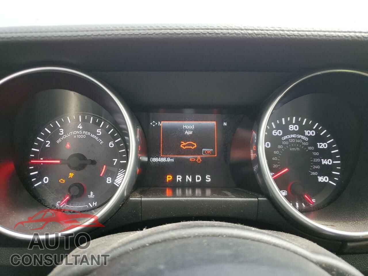 FORD MUSTANG 2019 - 1FA6P8CF8K5176679