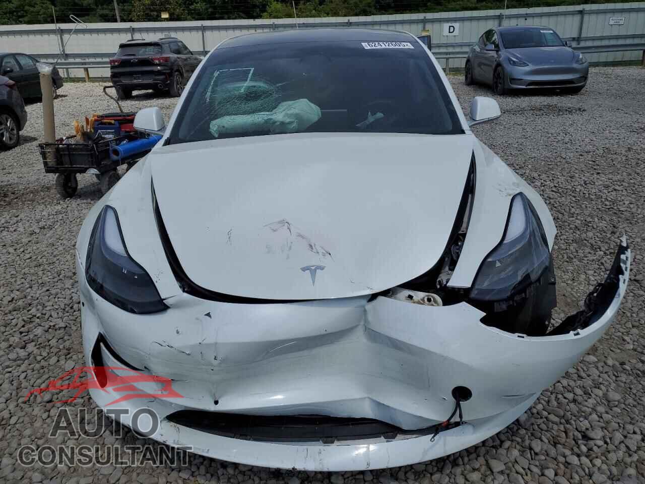 TESLA MODEL 3 2019 - 5YJ3E1EB3KF494275