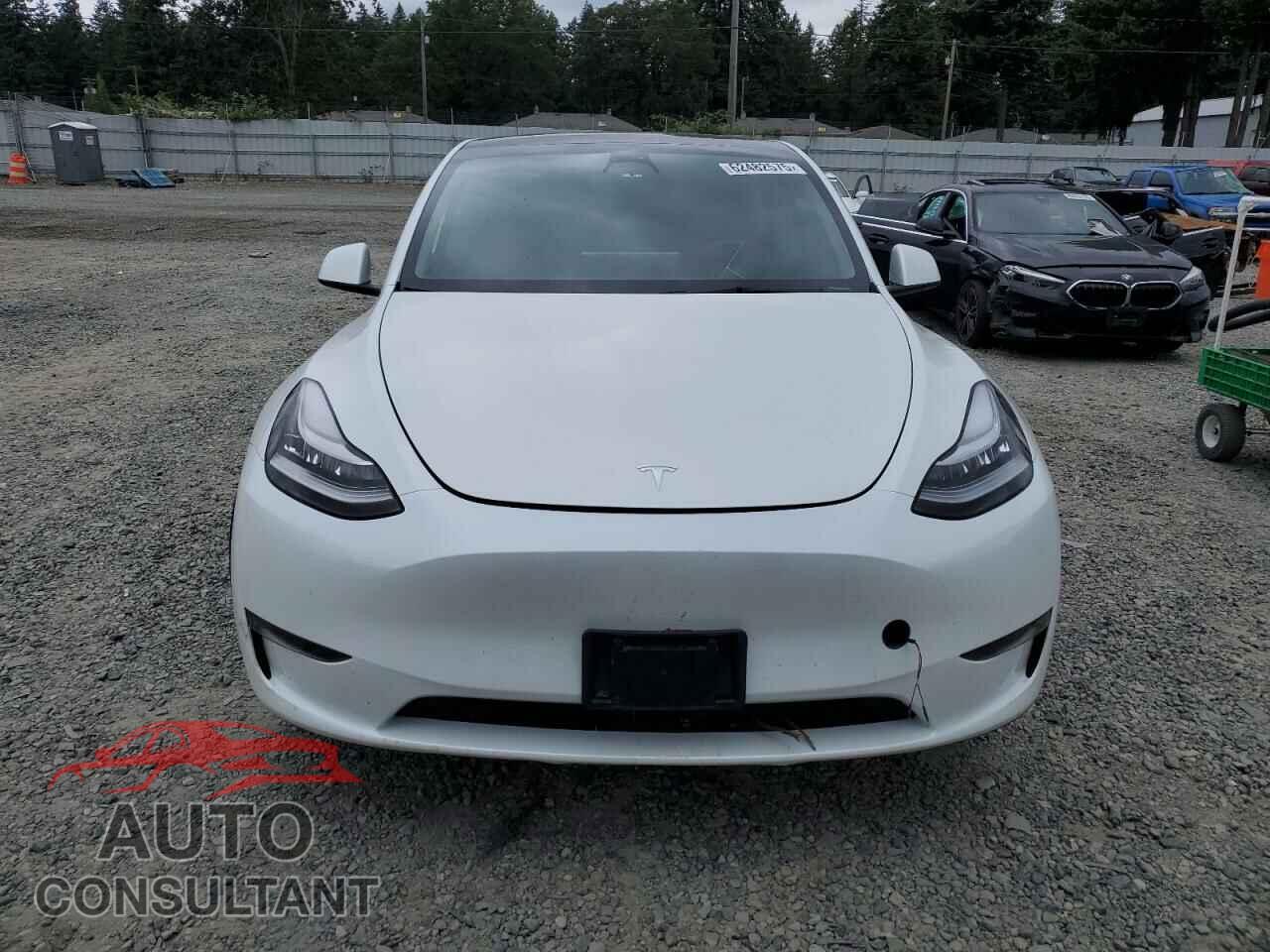 TESLA MODEL Y 2023 - 7SAYGAEE2PF598258