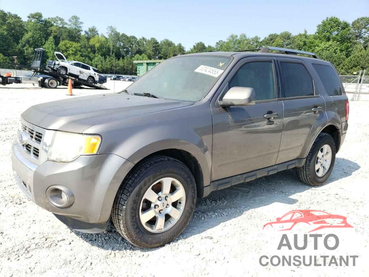 FORD ESCAPE 2011 - 1FMCU0EG1BKC01867