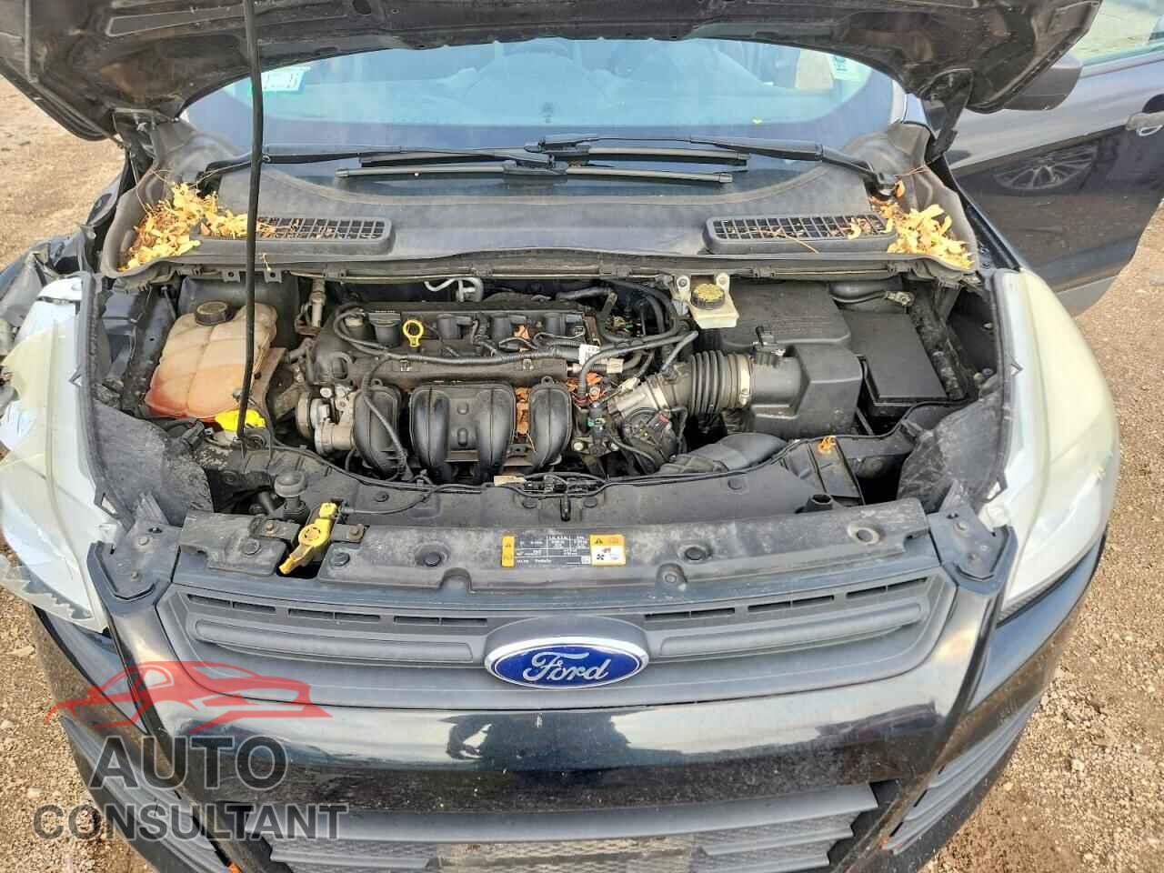 FORD ESCAPE 2013 - 1FMCU0F76DUD49986