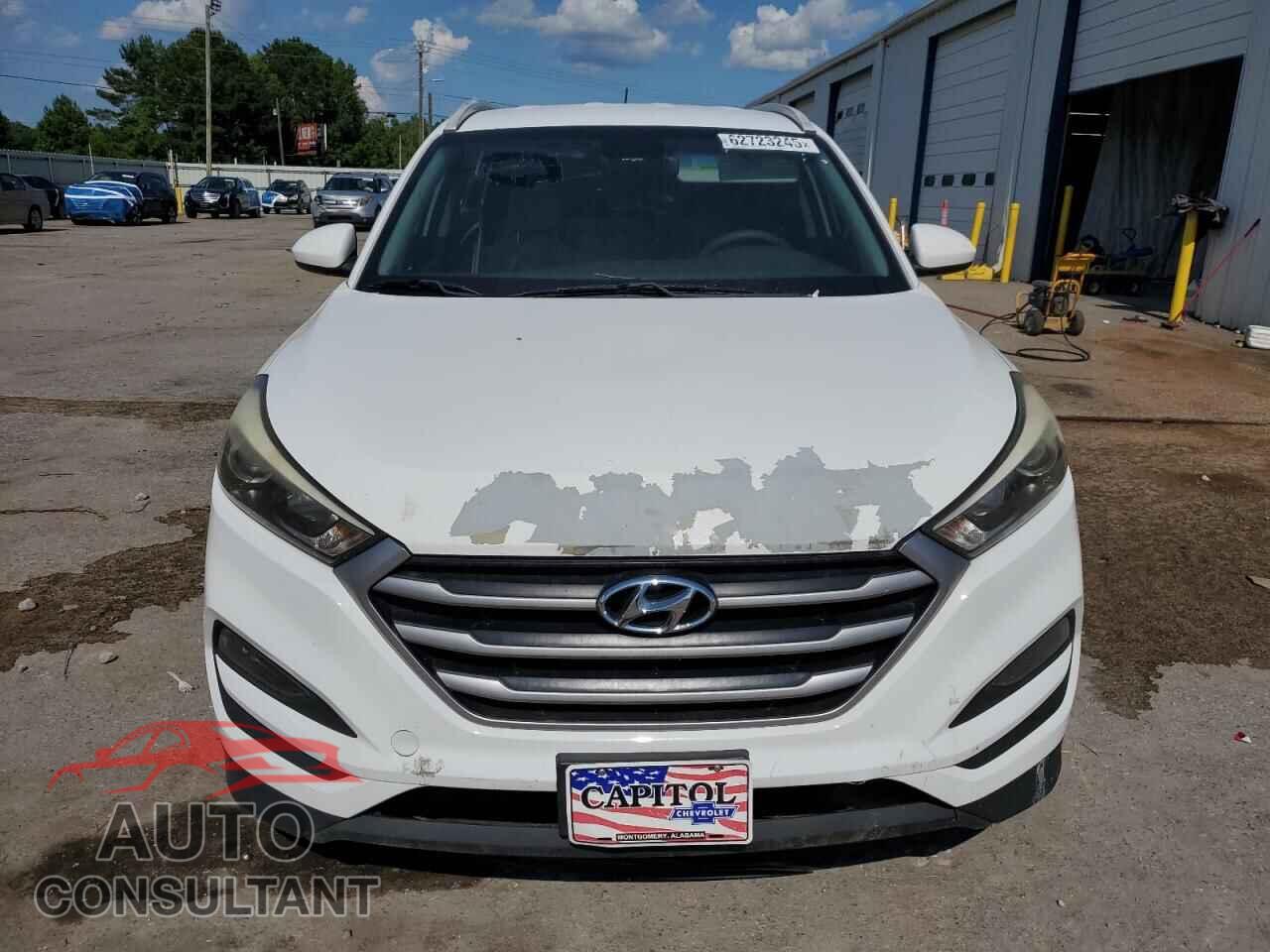 HYUNDAI TUCSON 2017 - KM8J33A41HU434880