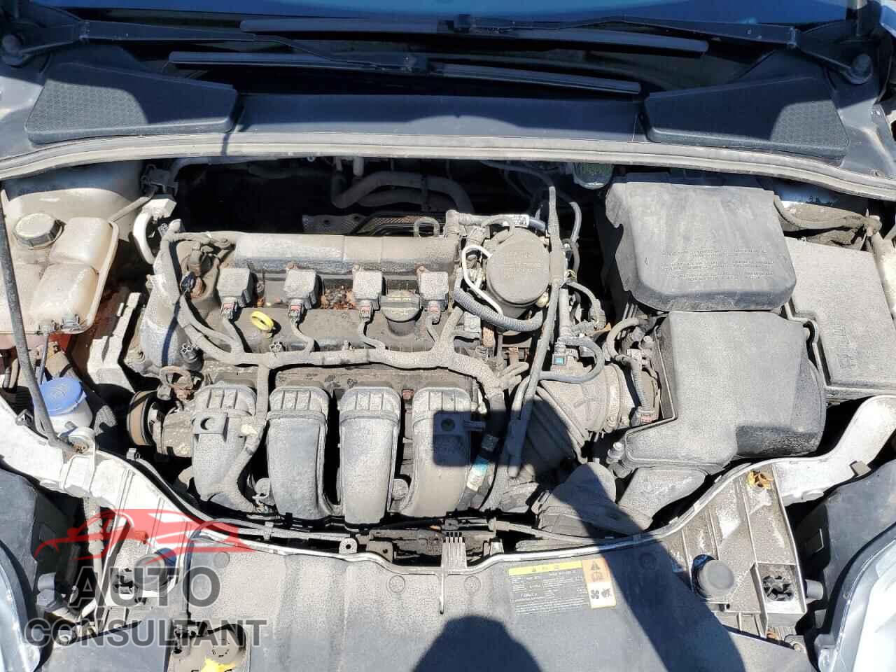 FORD FOCUS 2013 - 1FADP3K20DL192138