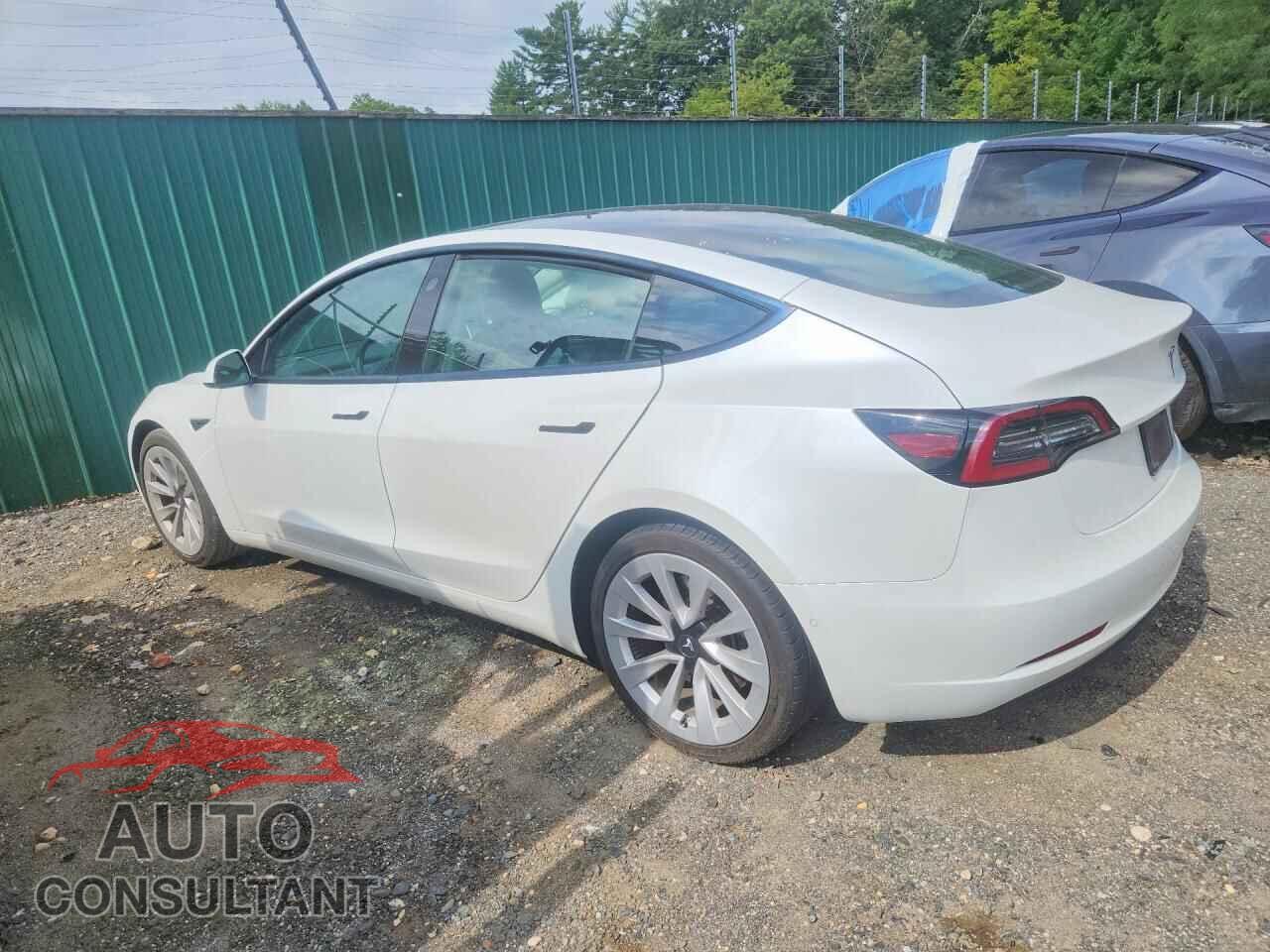 TESLA MODEL 3 2021 - 5YJ3E1EA2MF053344