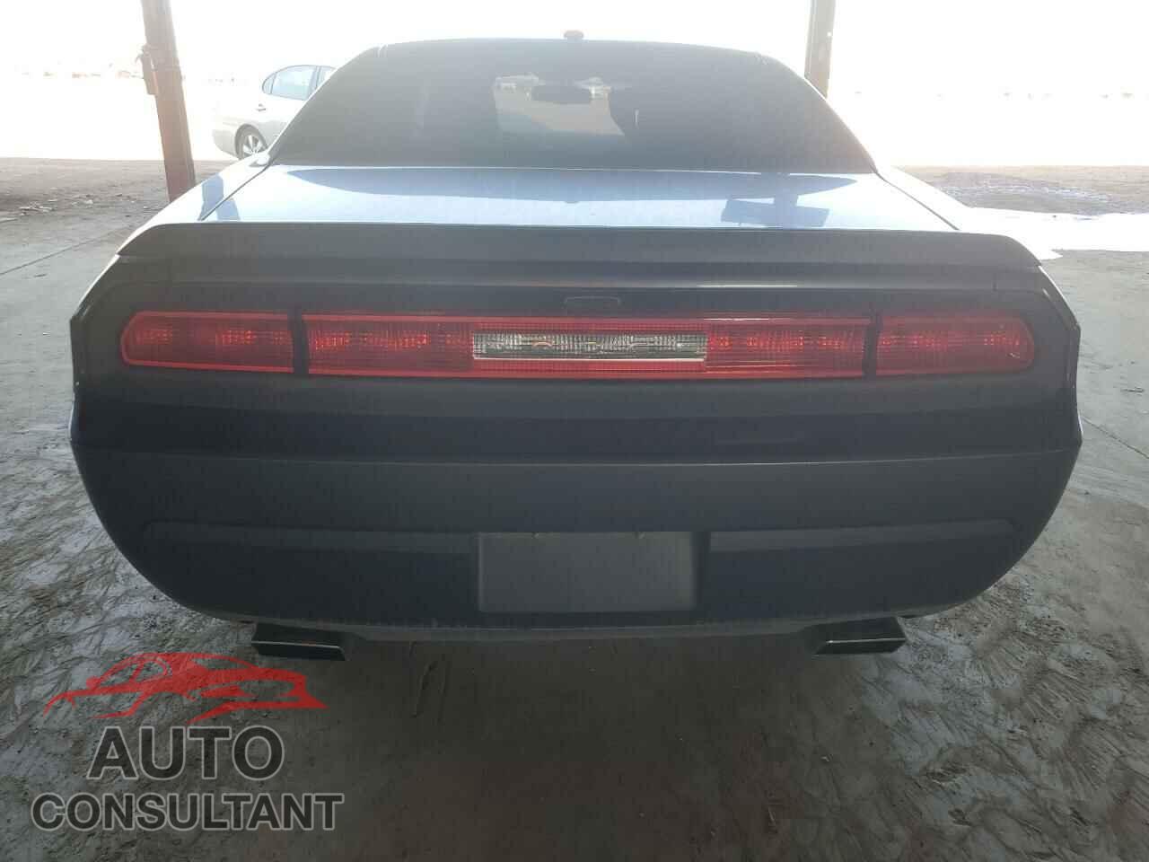 DODGE CHALLENGER 2014 - 2C3CDYBT3EH281922