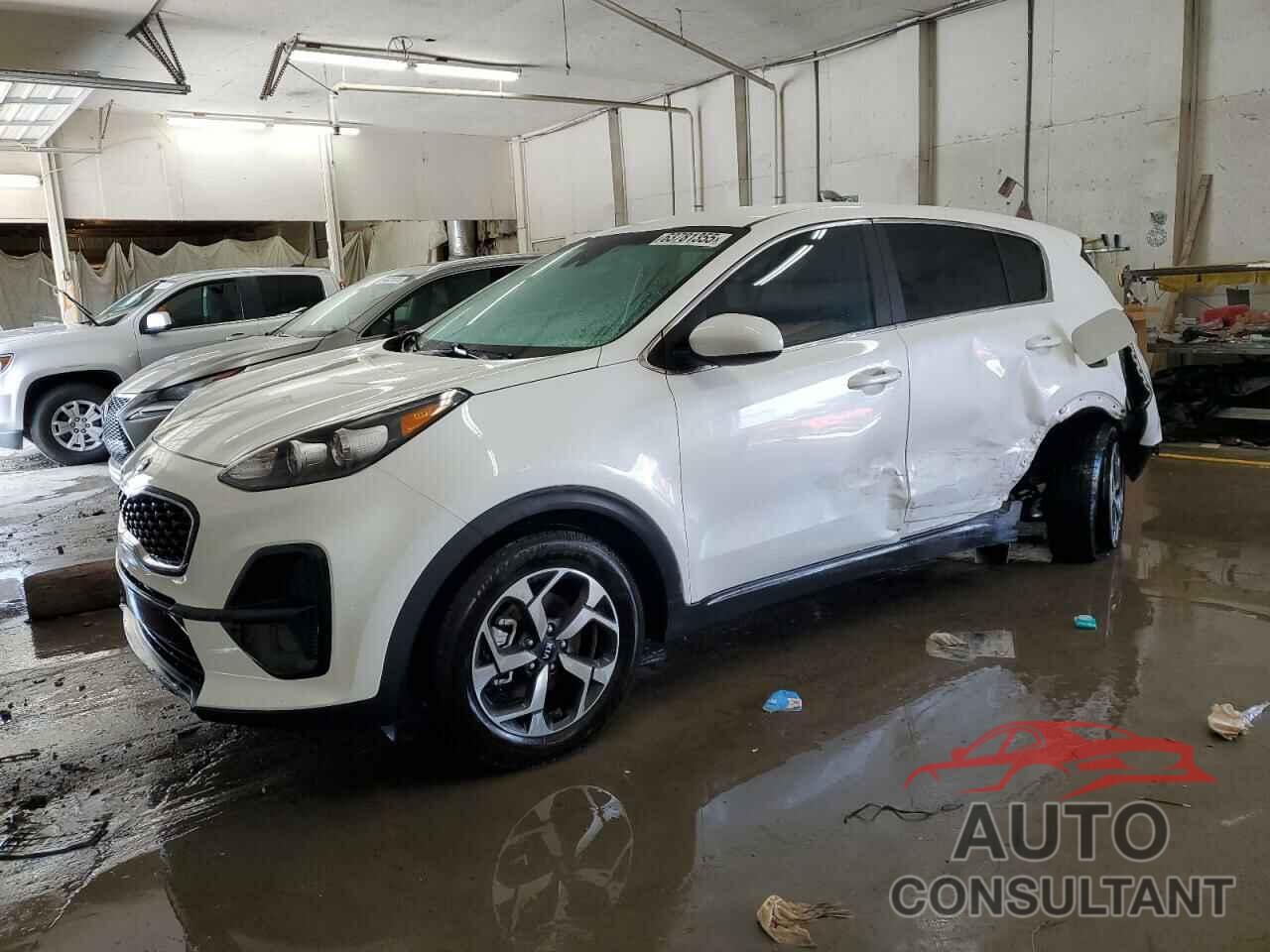 KIA SPORTAGE 2022 - KNDPM3AC5N7018313