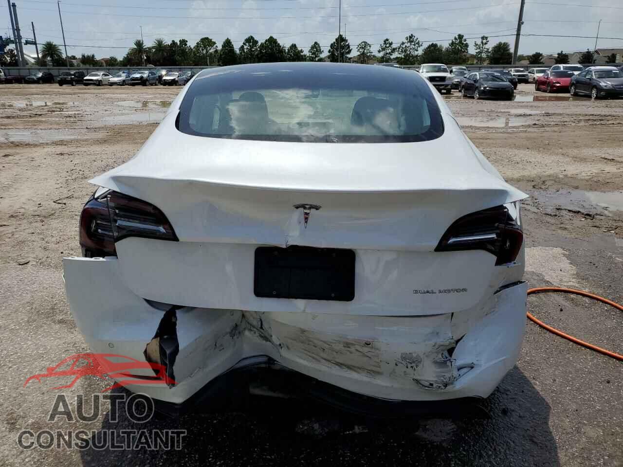 TESLA MODEL 3 2019 - 5YJ3E1EB4KF388403