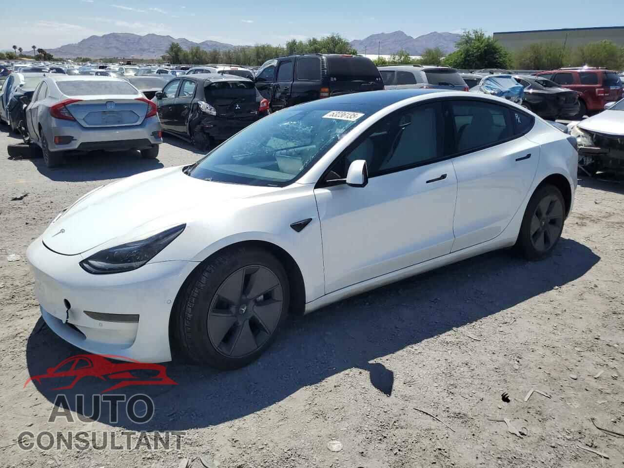 TESLA MODEL 3 2021 - 5YJ3E1EA6MF018824