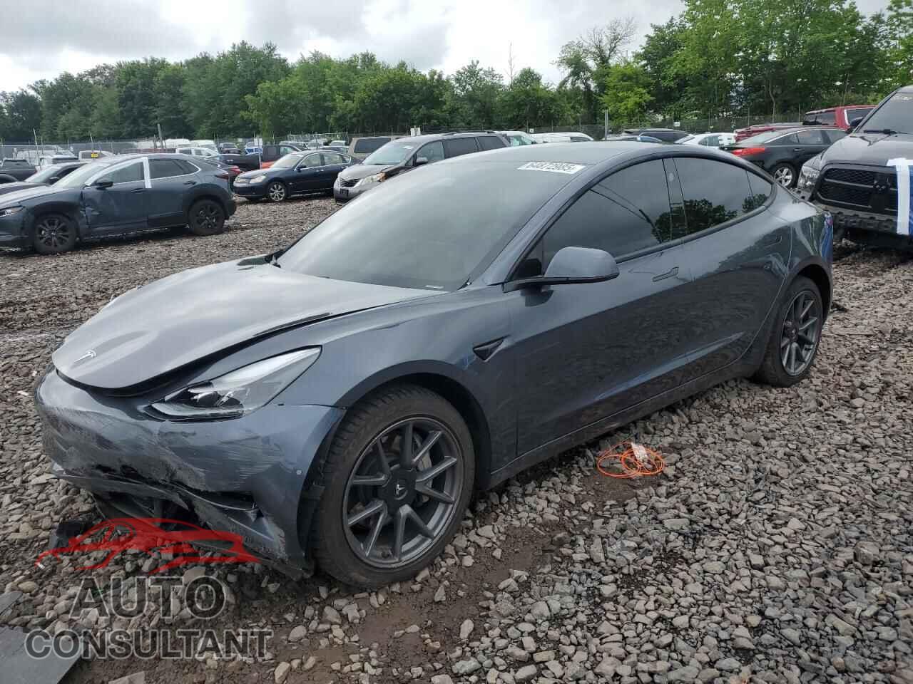 TESLA MODEL 3 2021 - 5YJ3E1EB8MF919248