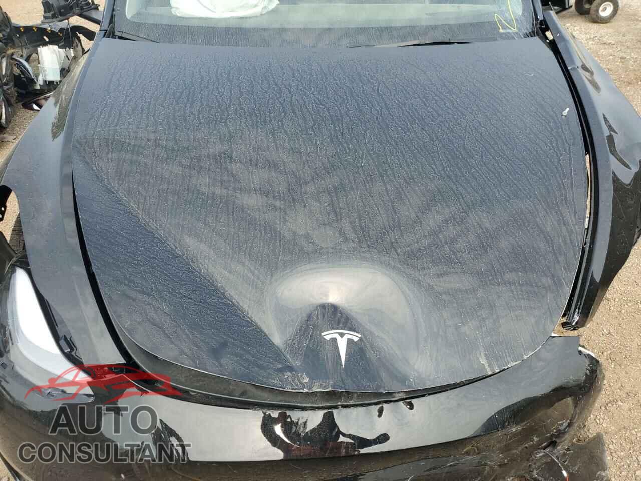 TESLA MODEL Y 2024 - 7SAYGDEE5RA282449