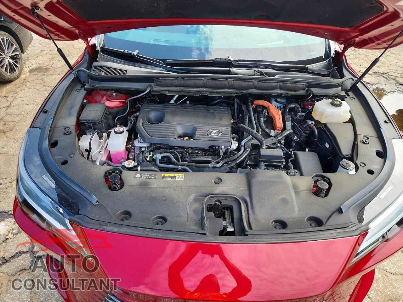 LEXUS UNKNOWN 2024 - 2T2BBMCA4RC027117
