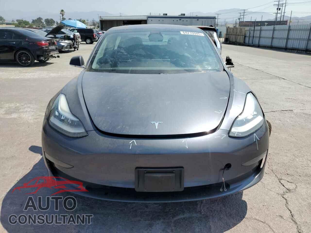 TESLA MODEL 3 2019 - 5YJ3E1EB2KF205385