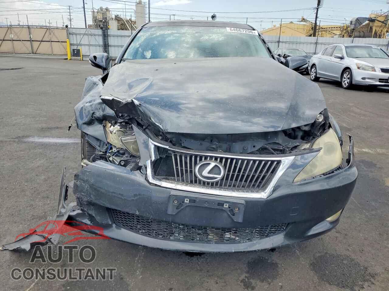 LEXUS IS 2009 - JTHBK262095102419