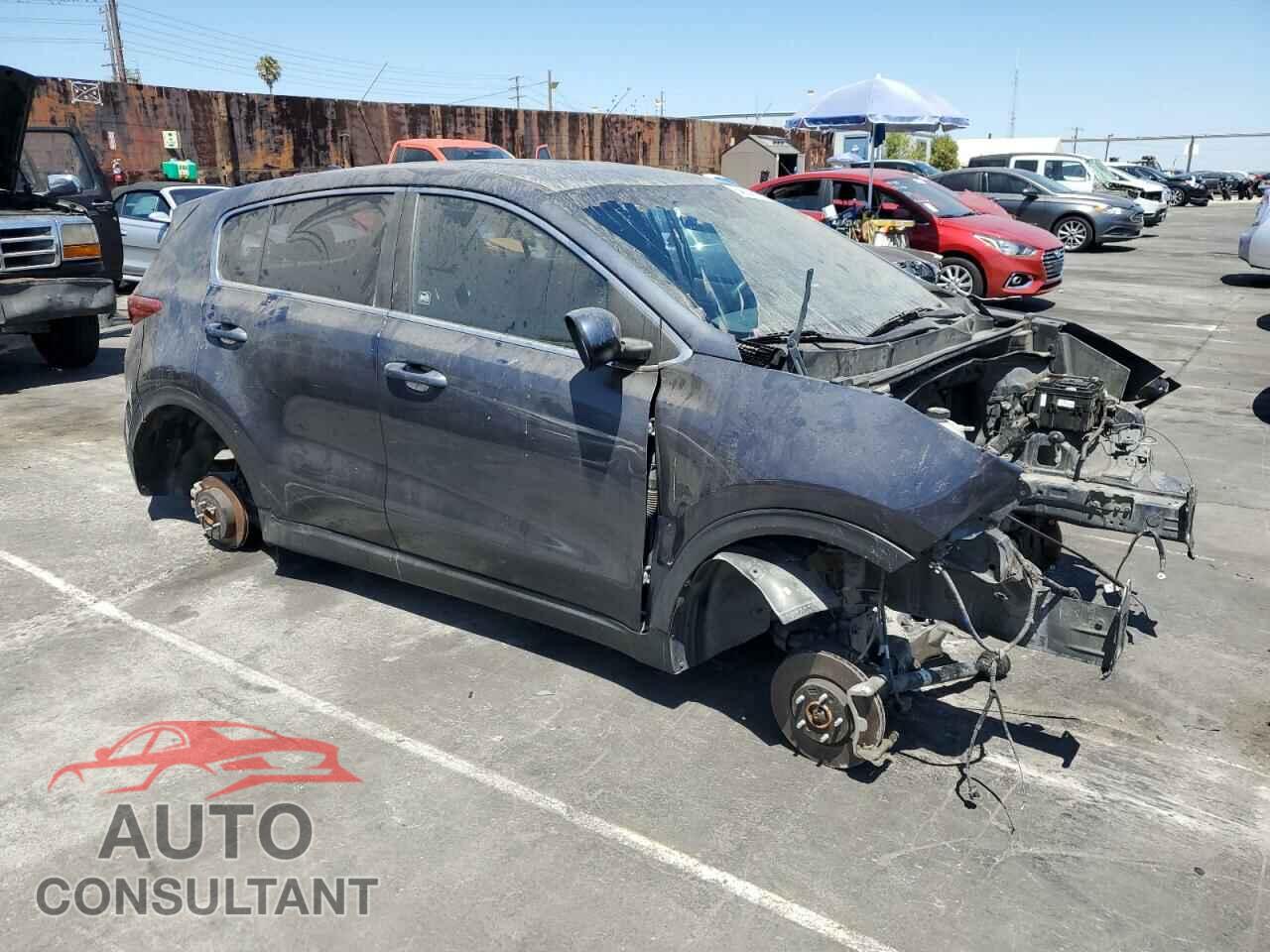 KIA SPORTAGE 2019 - KNDPM3ACXK7596645