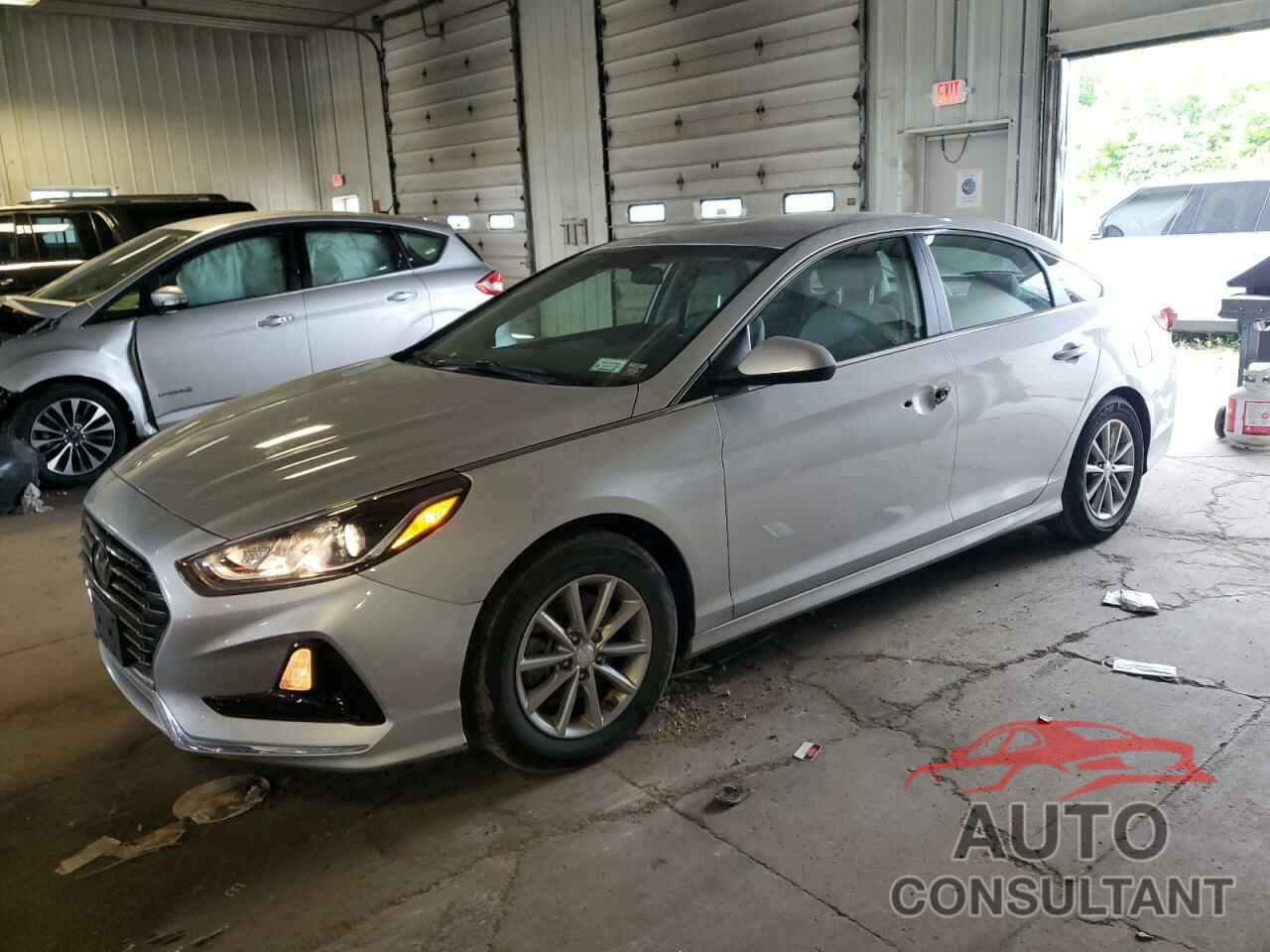 HYUNDAI SONATA 2019 - 5NPE24AF2KH767171