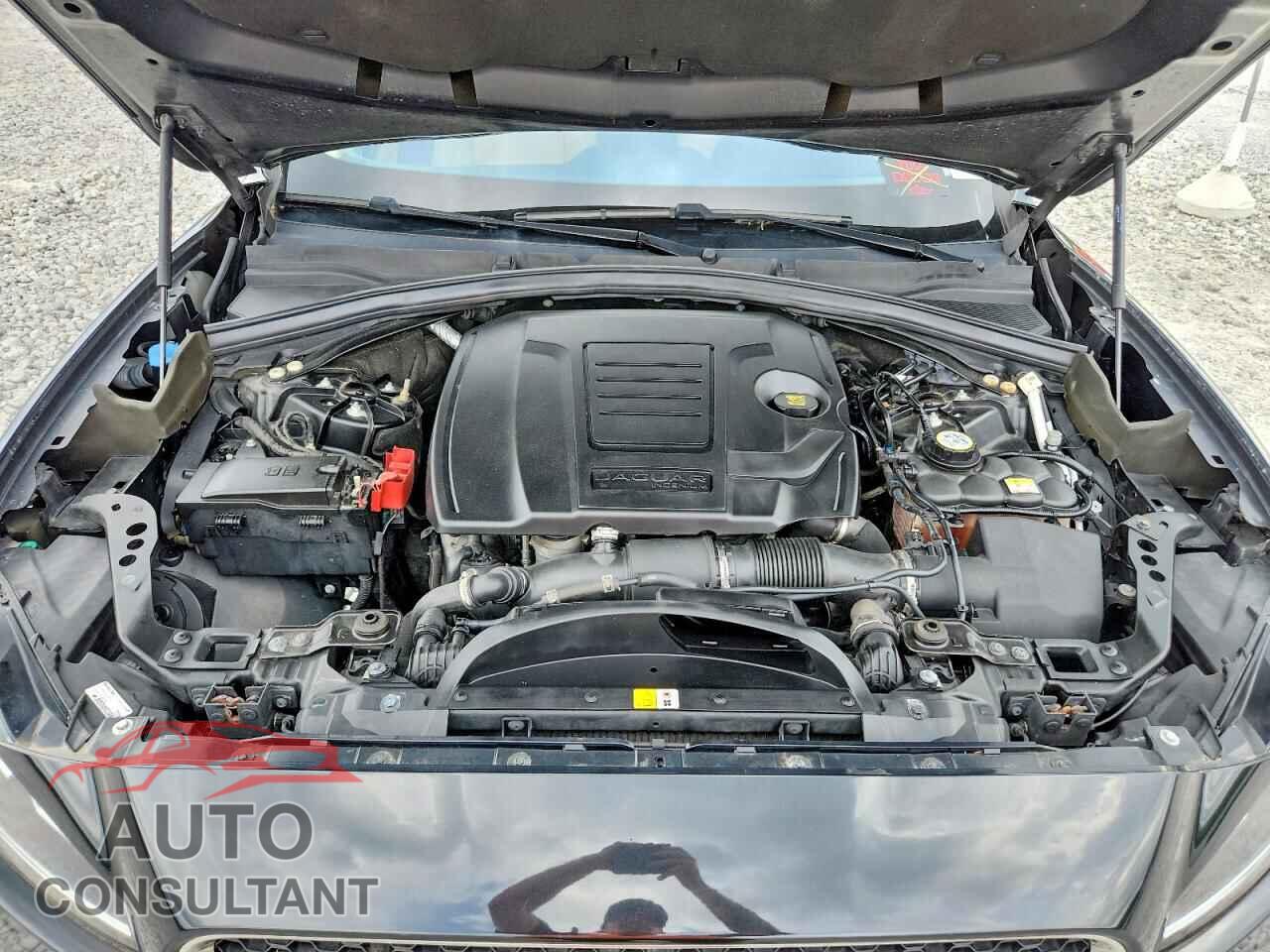 JAGUAR F-PACE 2020 - SADCJ2FX2LA620894