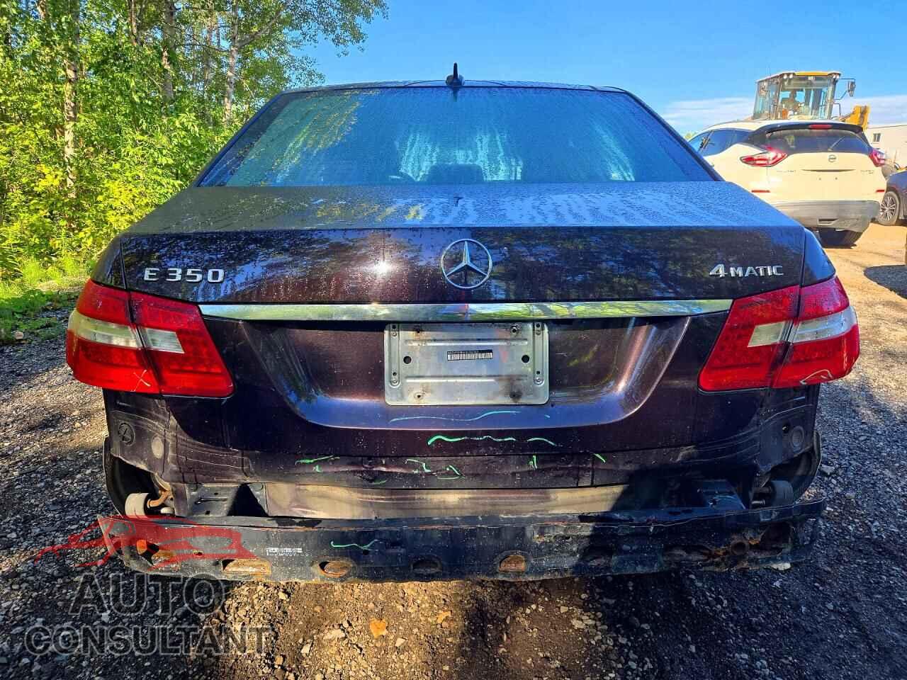 MERCEDES-BENZ E-CLASS 2010 - WDDHF8HB6AA086163