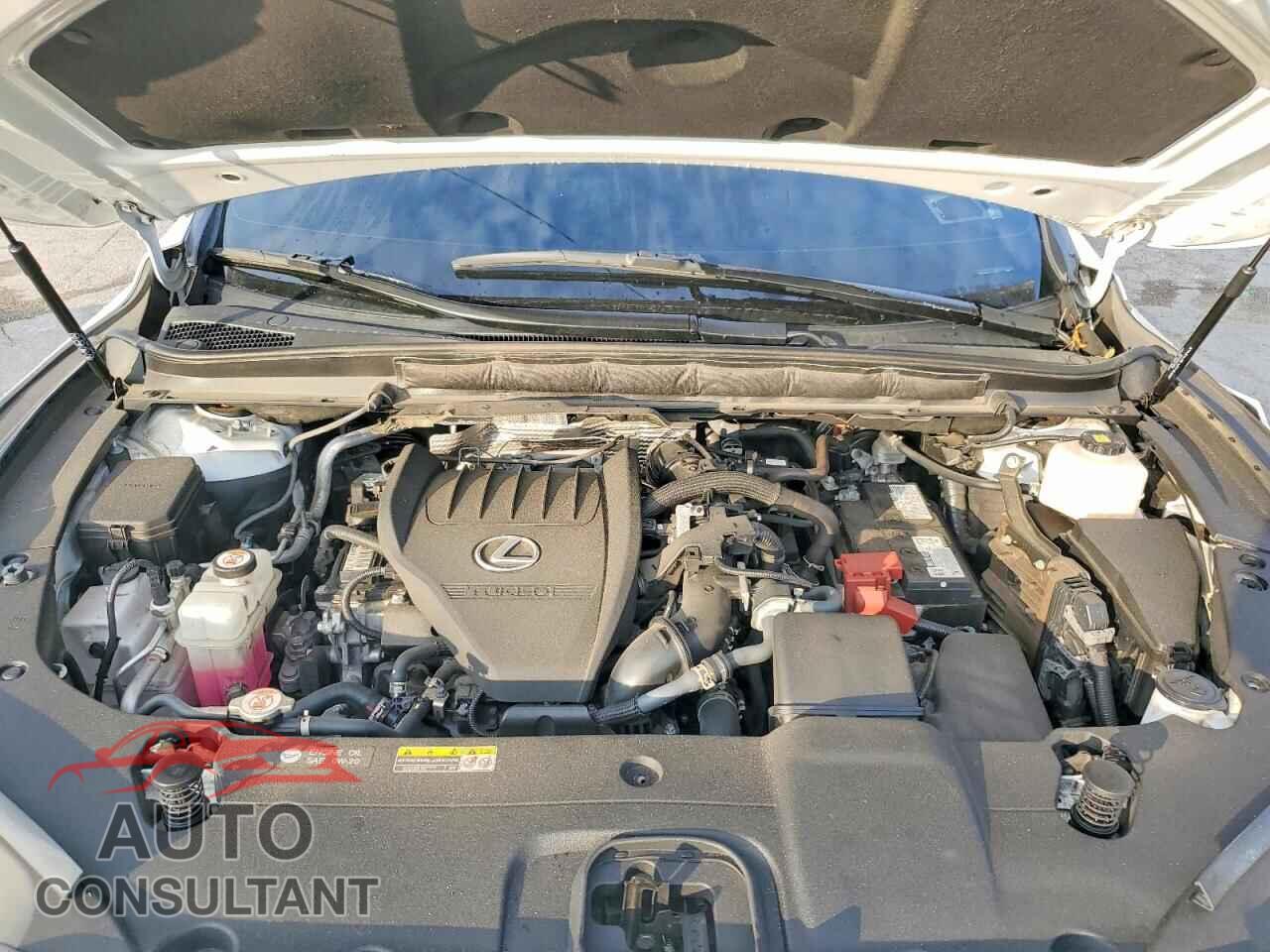 LEXUS RX350 2024 - 2T2BAMCA2RC054285