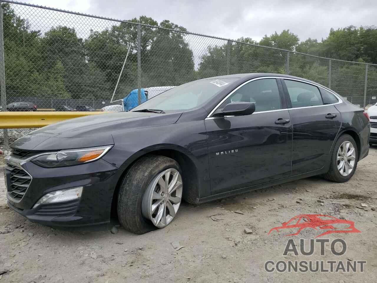 CHEVROLET MALIBU 2019 - 1G1ZD5ST8KF227882