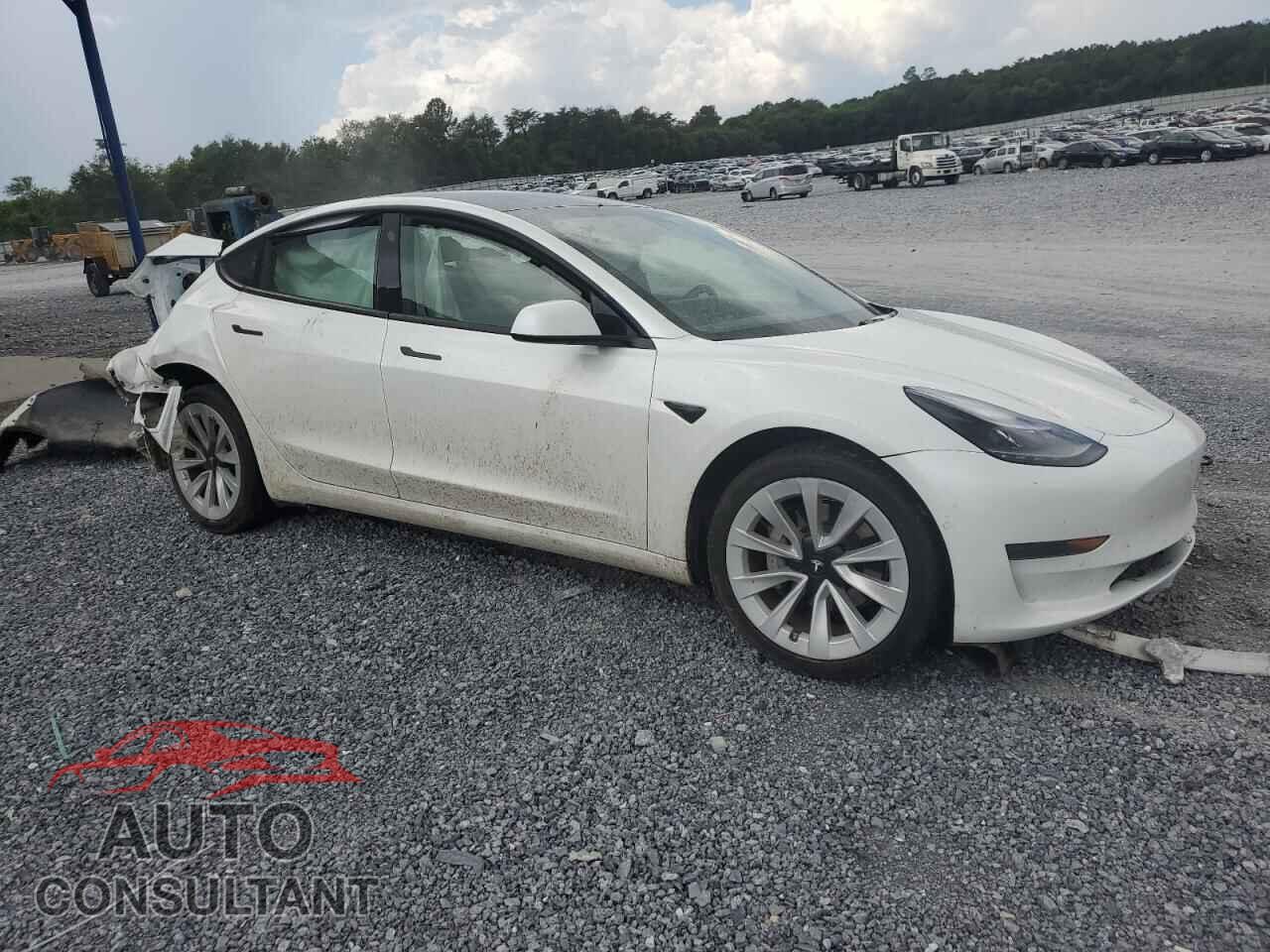TESLA MODEL 3 2021 - 5YJ3E1EA7MF058135