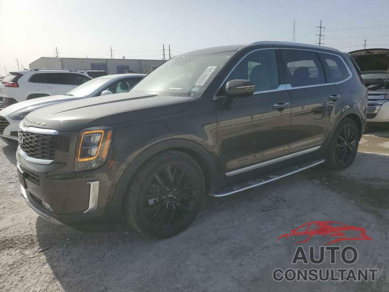 KIA TELLURIDE 2022 - 5XYP5DHCXNG298824