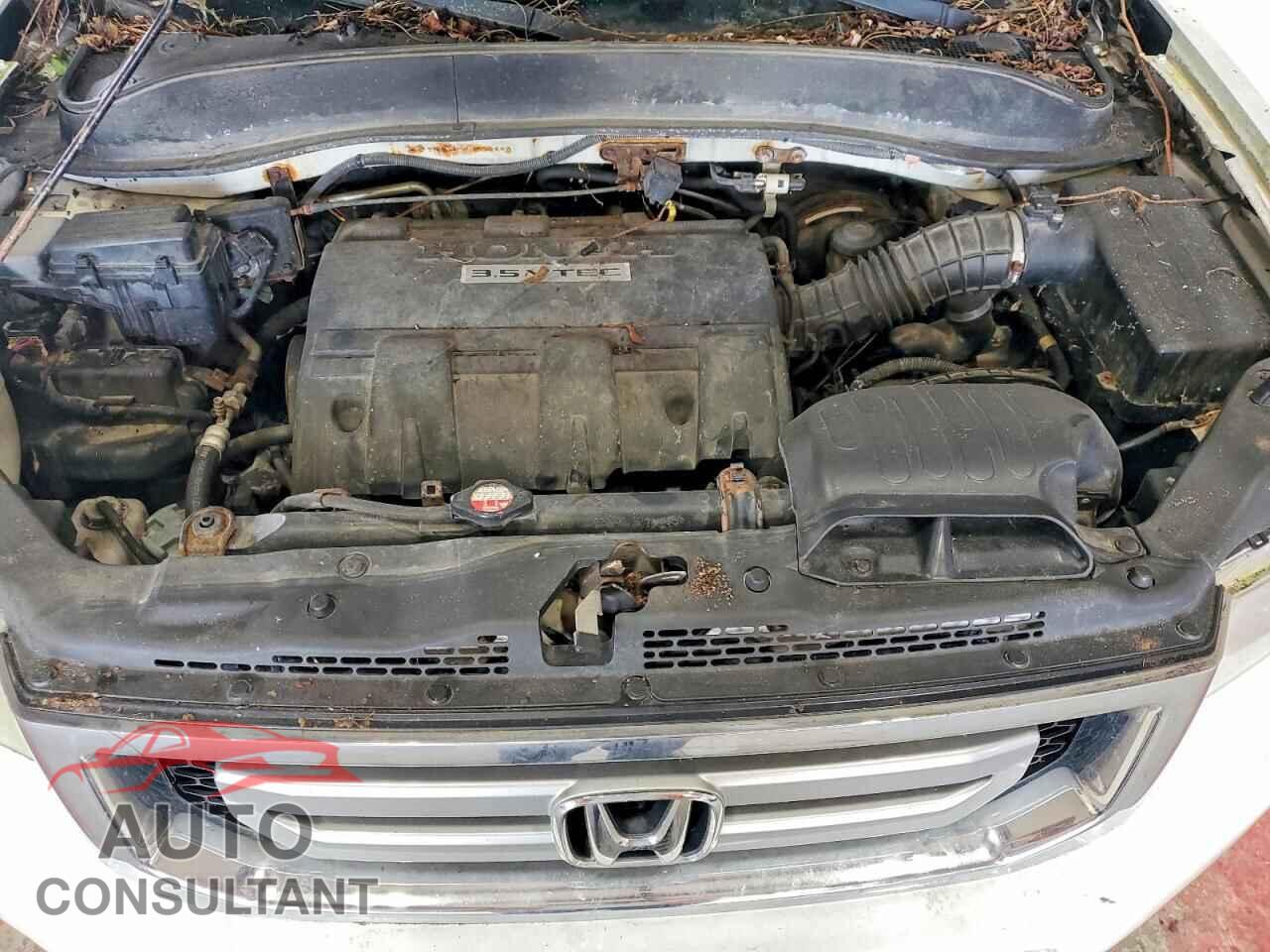 HONDA RIDGELINE 2011 - 5FPYK1F50BB004440