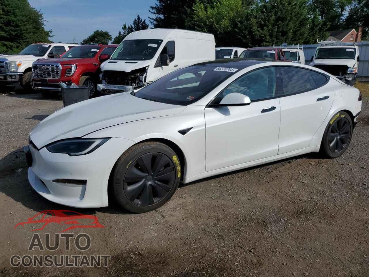 TESLA MODEL S 2023 - 5YJSA1E50PF501031