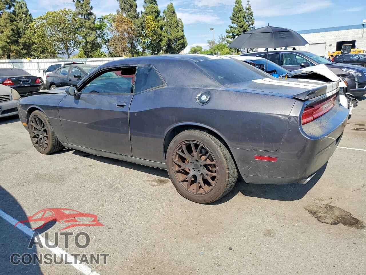 DODGE CHALLENGER 2013 - 2C3CDYAG4DH553669