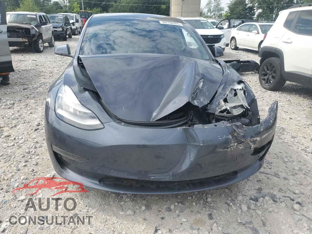 TESLA MODEL 3 2021 - 5YJ3E1EC8MF856256