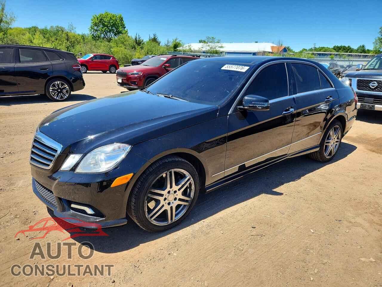 MERCEDES-BENZ E-CLASS 2010 - WDDHF9AB2AA170593