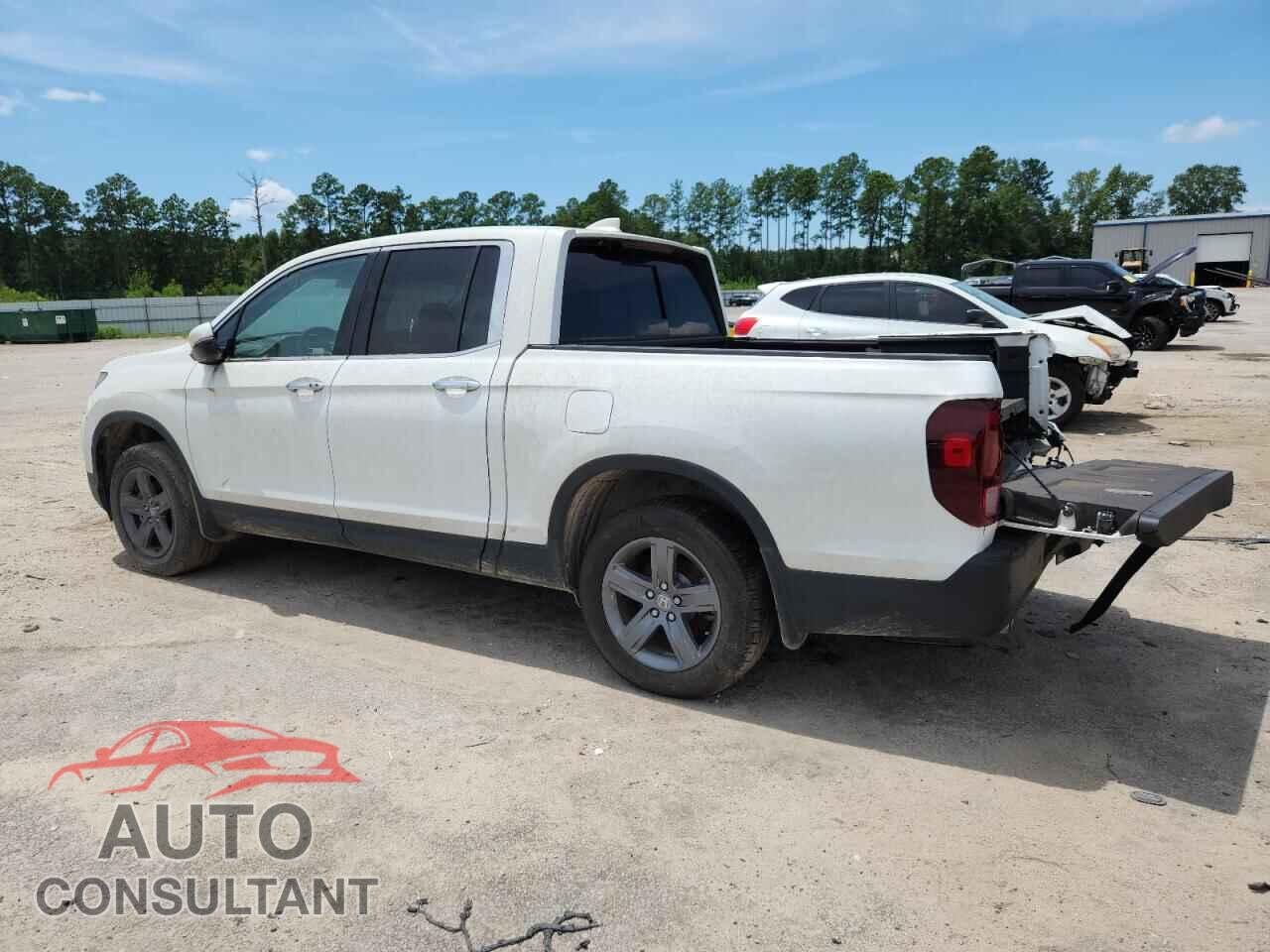 HONDA RIDGELINE 2021 - 5FPYK3F71MB021439