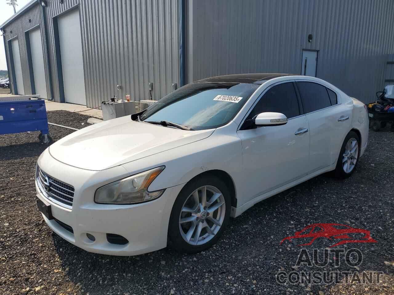 NISSAN MAXIMA 2011 - 1N4AA5AP5BC821631